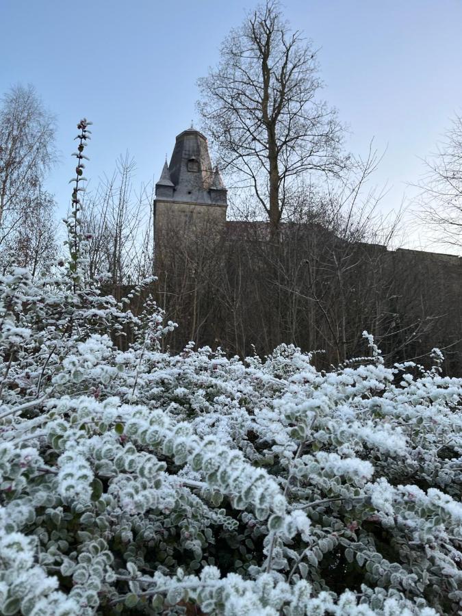 "An Der Alten Muehle 1" Fewo 120 Qm, Zwei Grosse Schlafzimmer, Suedbalkon, Gartenterrasse & Wallbox Bad Bentheim Eksteriør bilde