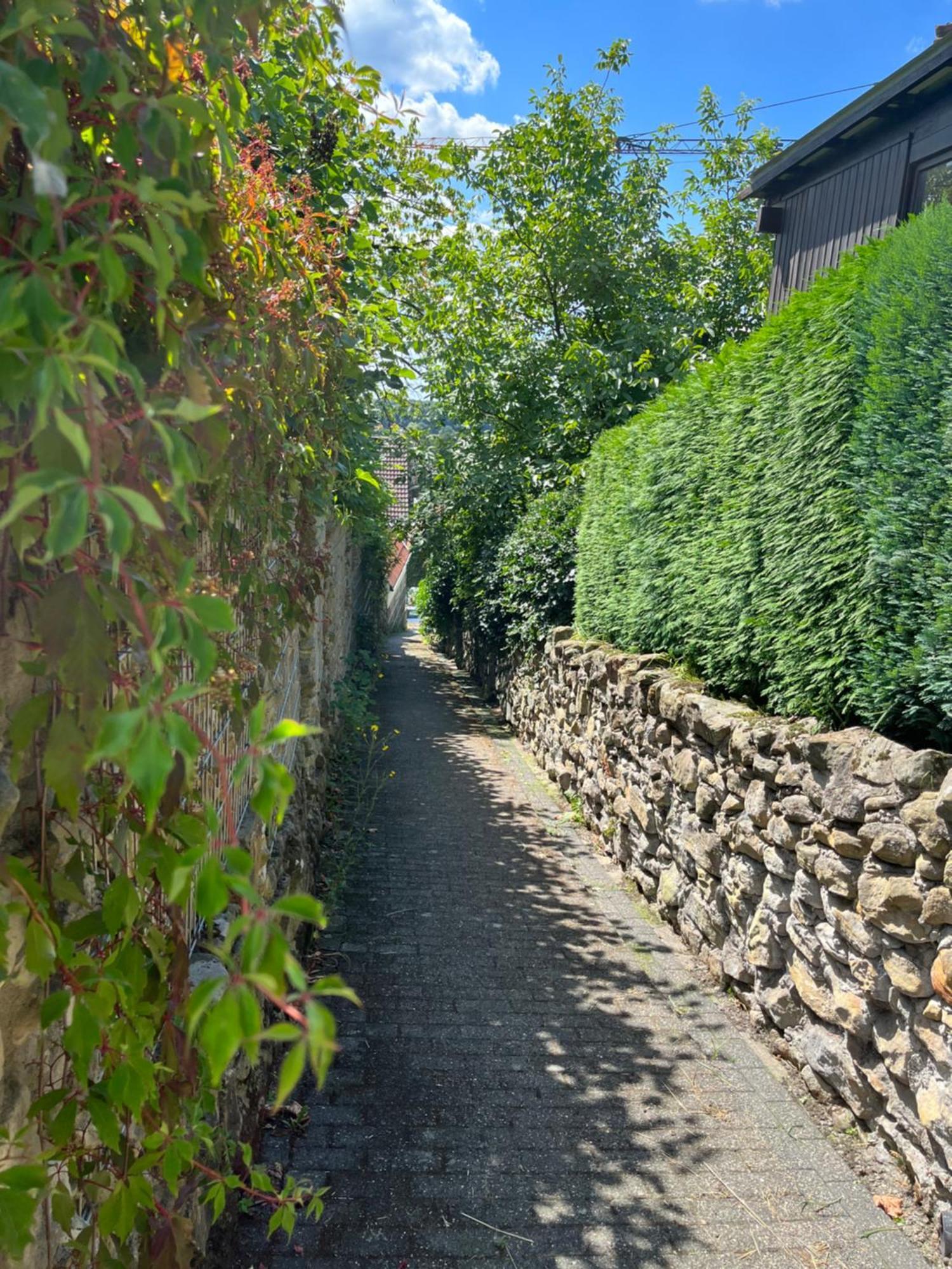 "An Der Alten Muehle 1" Fewo 120 Qm, Zwei Grosse Schlafzimmer, Suedbalkon, Gartenterrasse & Wallbox Bad Bentheim Eksteriør bilde